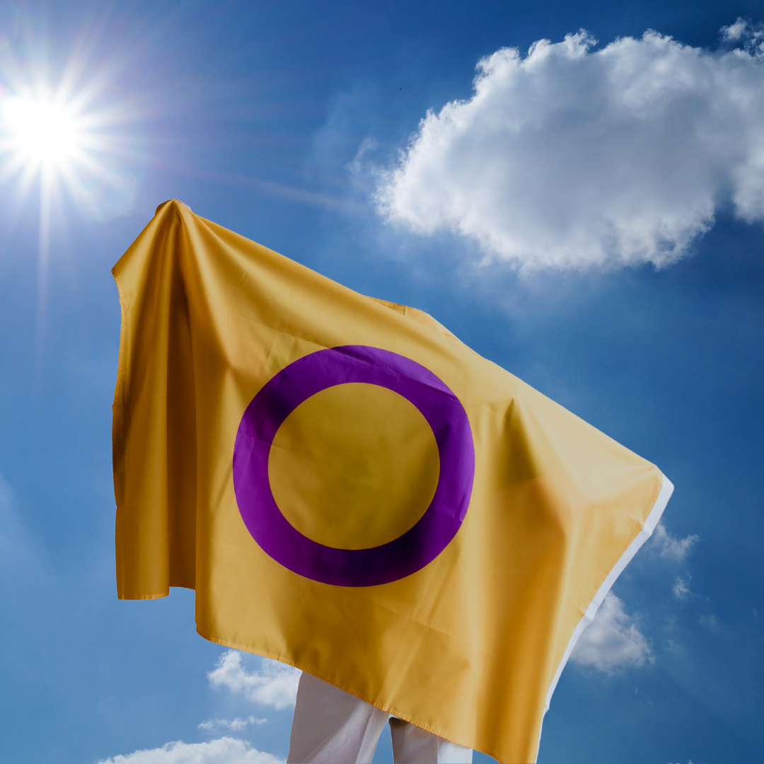Pride Flagge Inter