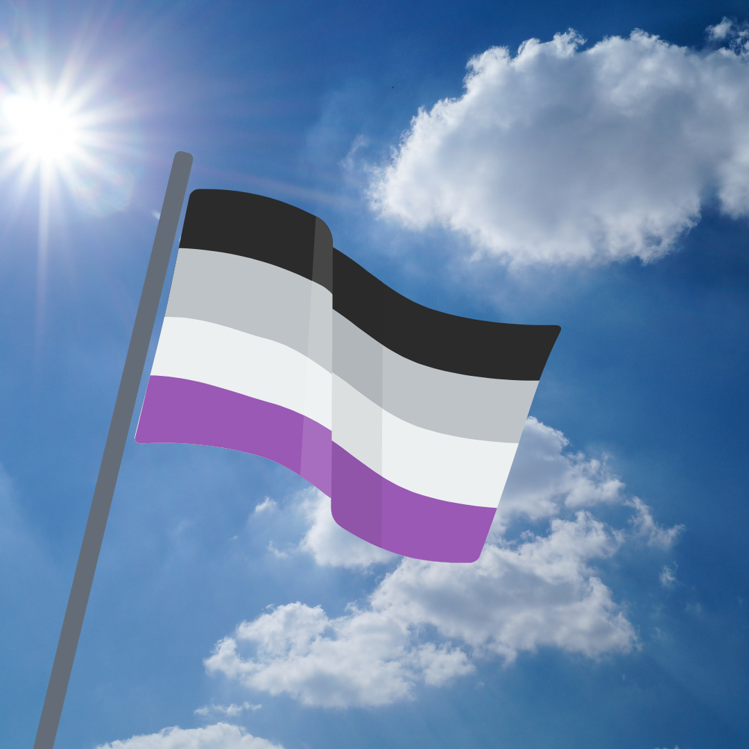 Pride Flagge Asexuell