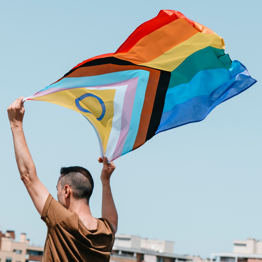 Pride Flagge Regenbogen Progress